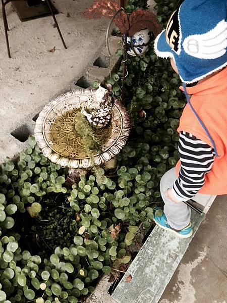 桃園庭園咖啡-弘曆農園-親子共遊的好去處 @About Hsuan美美媽咪親子美食旅遊