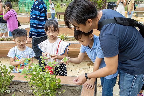 新竹寶山親子遊 新城風糖休閒園區 一起來砍甘蔗 壓甘蔗汁 做黑糖饅頭 大人小孩都玩得不亦樂乎 @About Hsuan美美媽咪親子美食旅遊